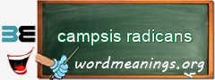 WordMeaning blackboard for campsis radicans